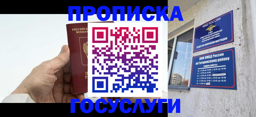 временная регистрация надежно в Палласовке